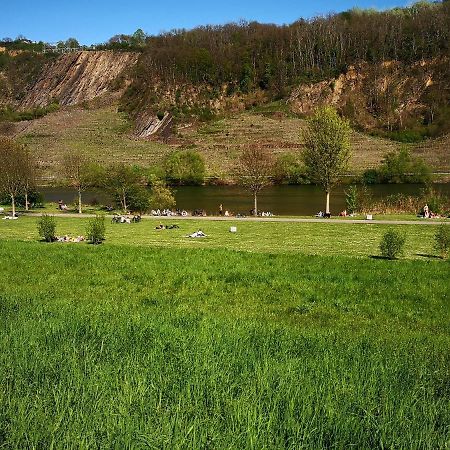 Ferienhaus MaLeFi 1 am Gülser Moselbogen Coblenza Exterior foto